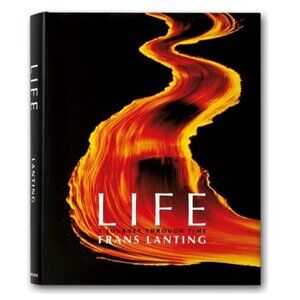 Life: A Journey Through Time